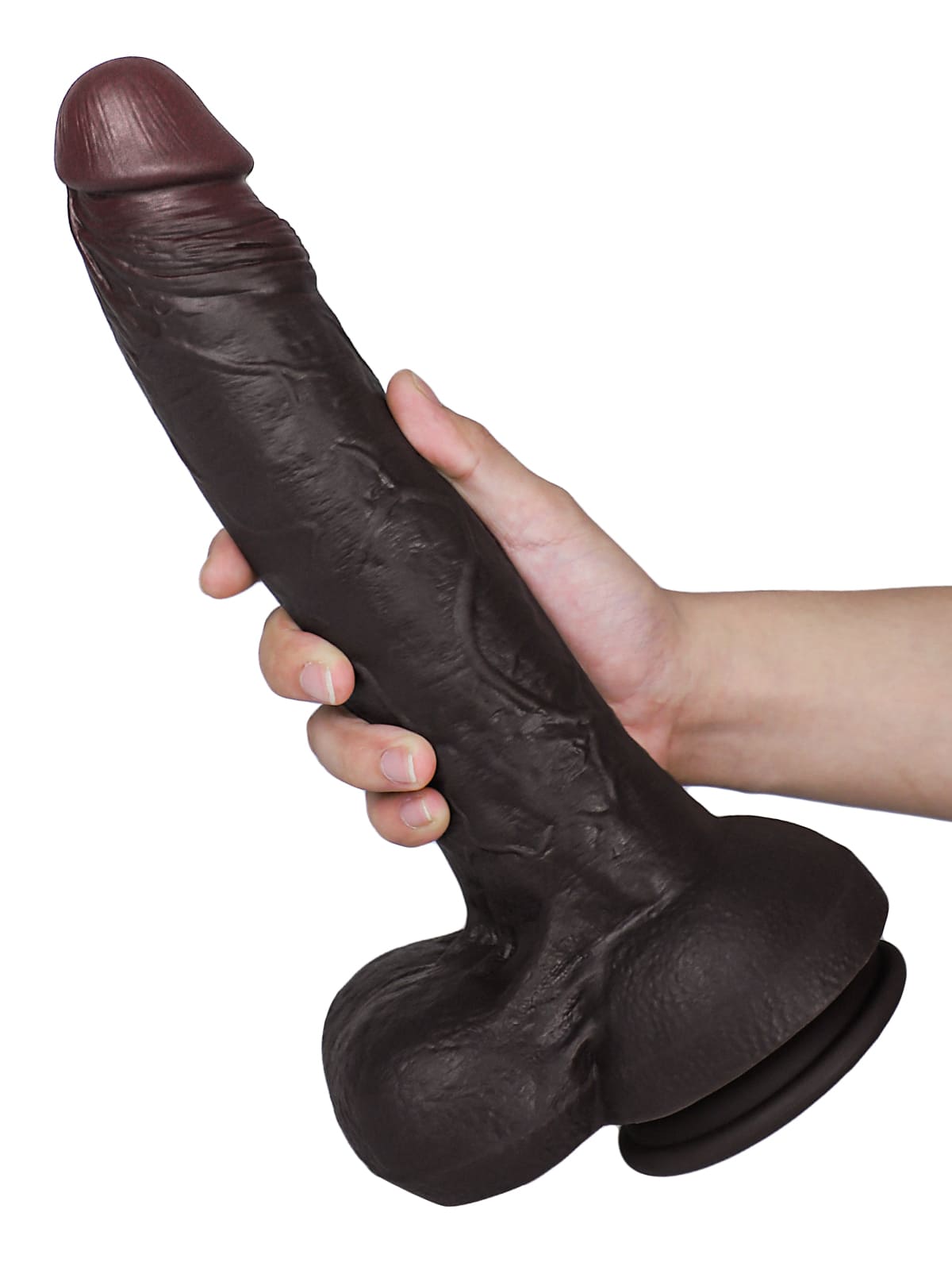 Dante 12.79" x 2.16"