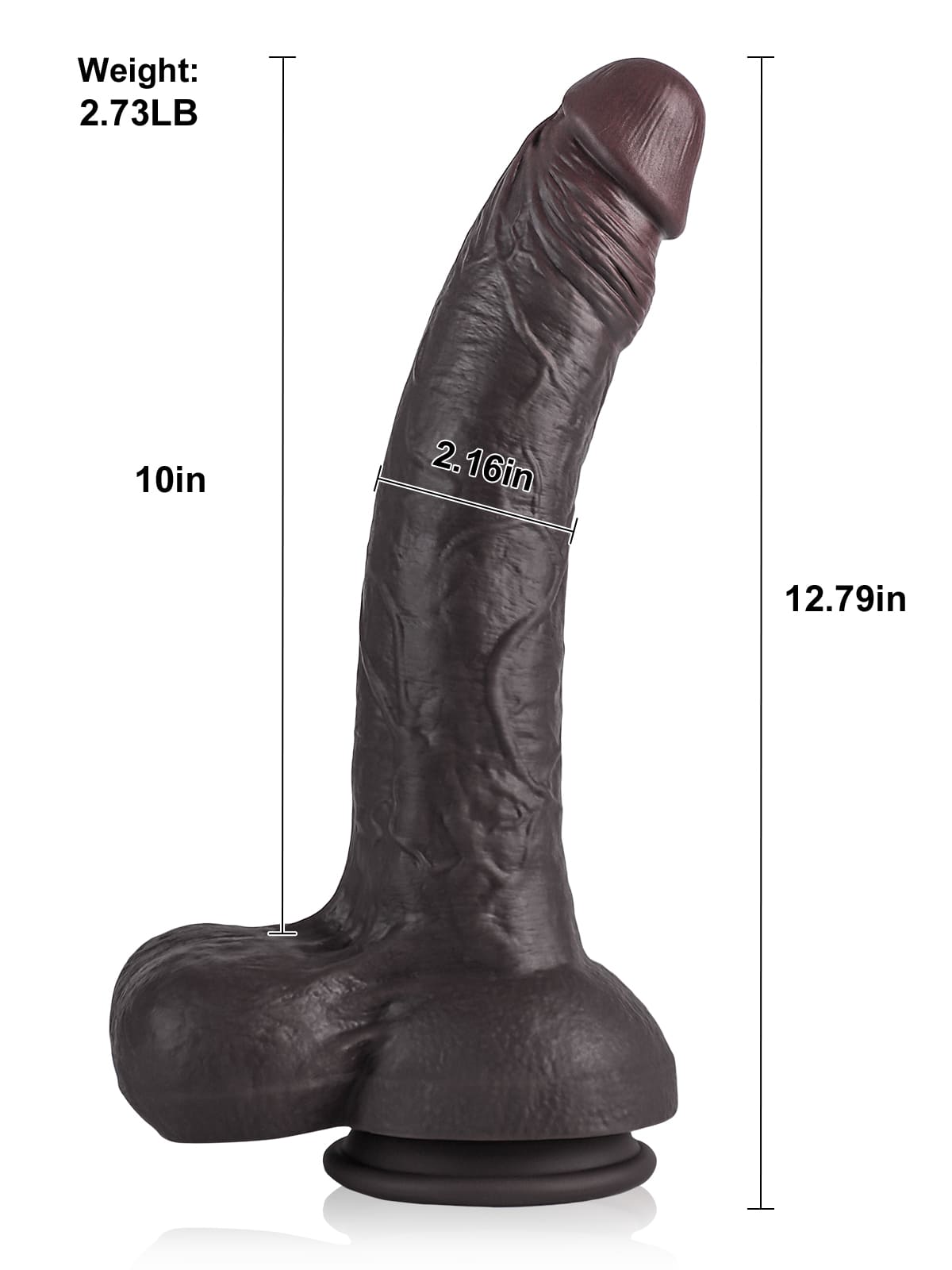 Dante 12.79" x 2.16"