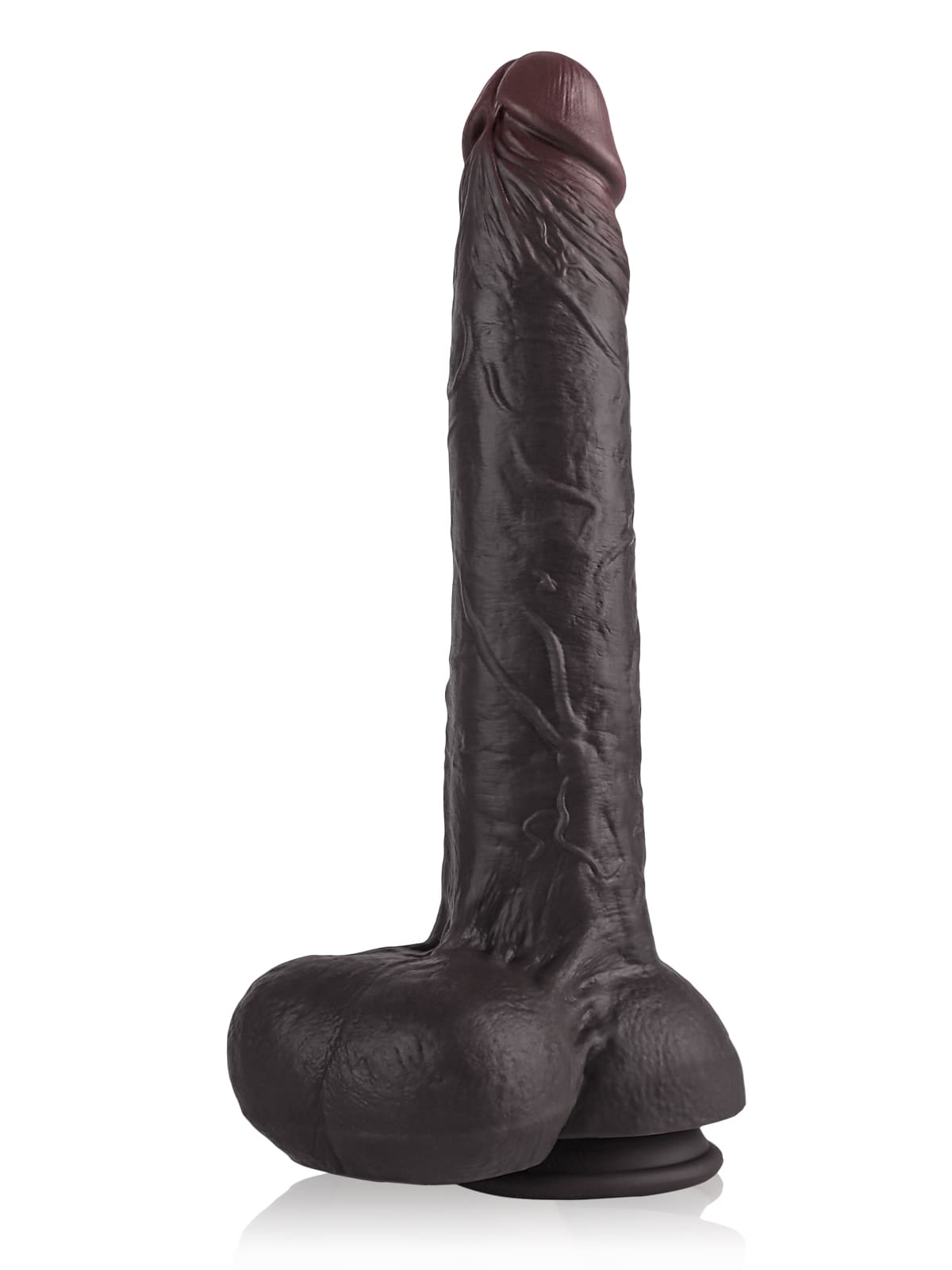 Dante 12.79" x 2.16"