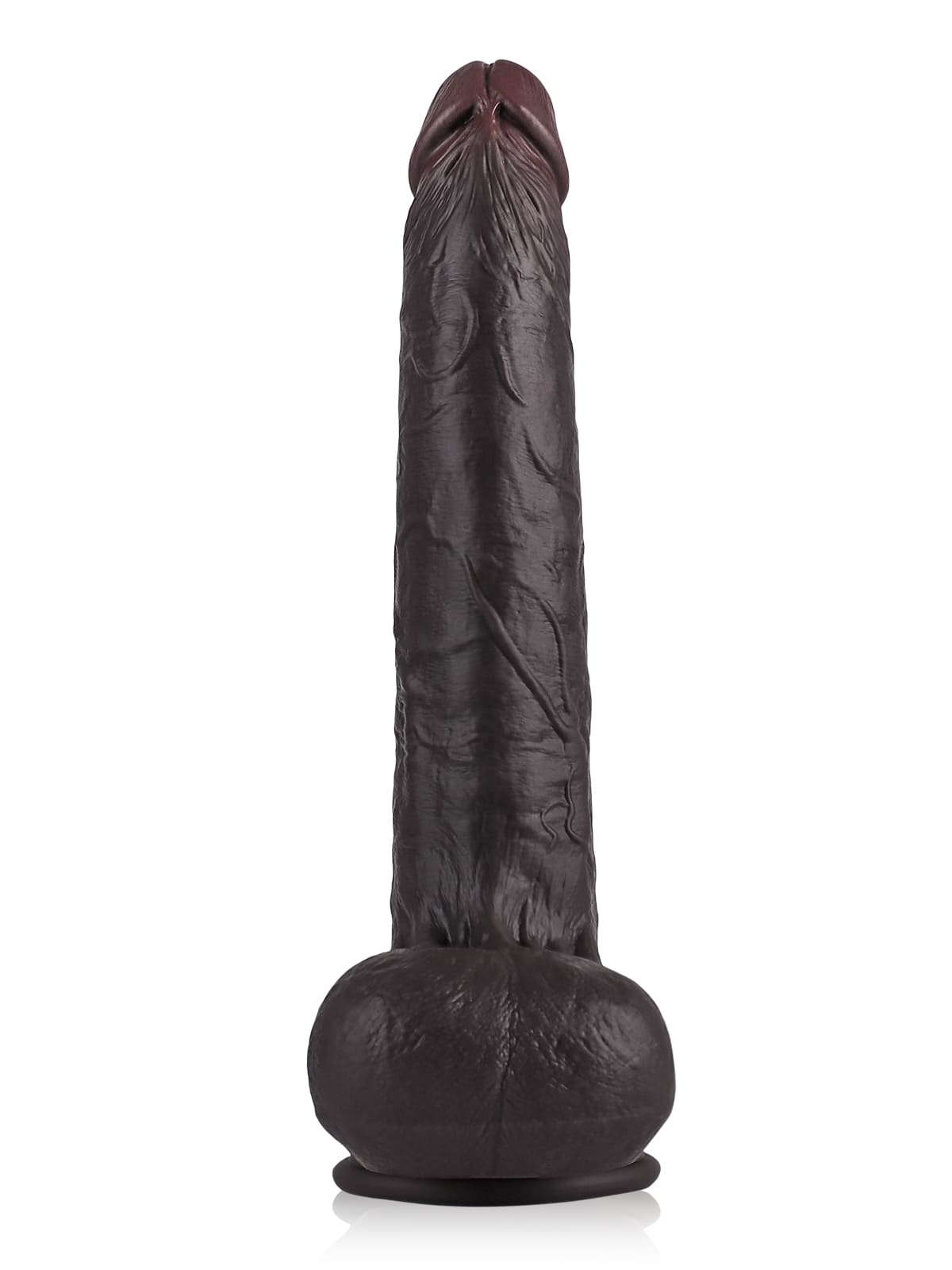 Dante 12.79" x 2.16"