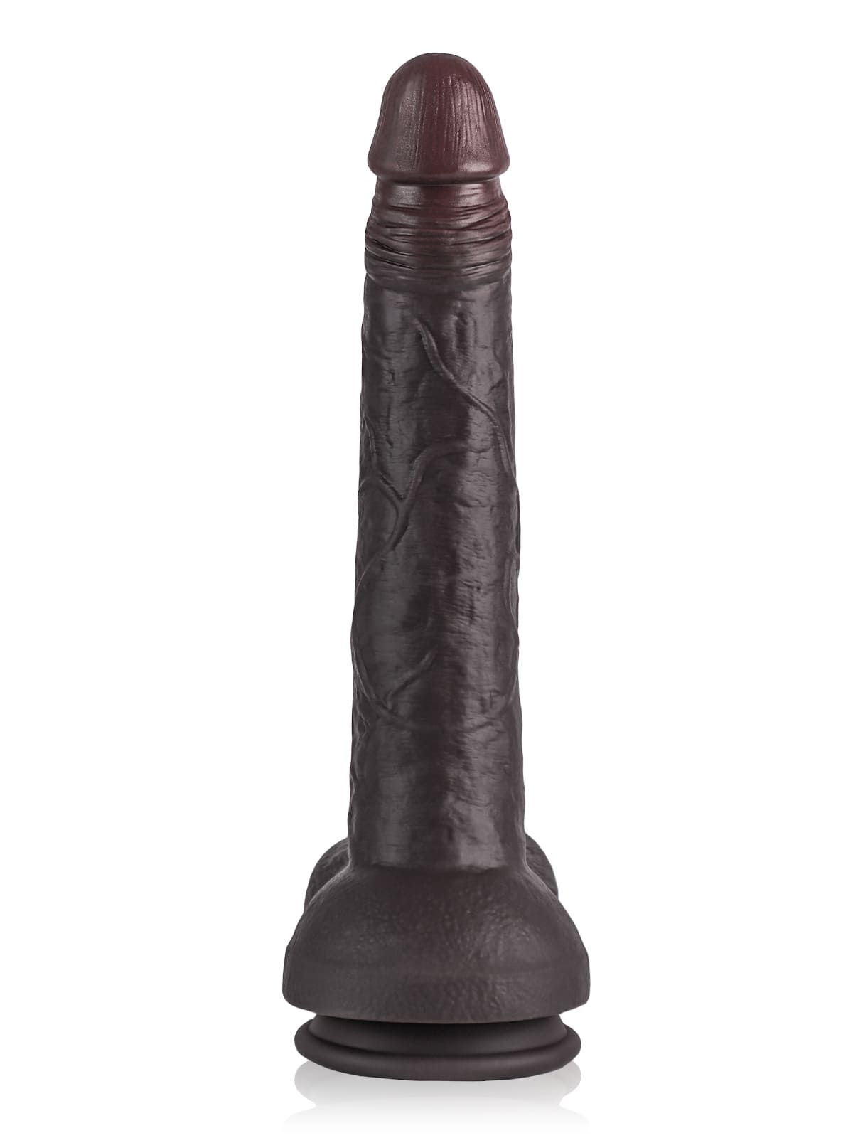 Dante 12.79" x 2.16"