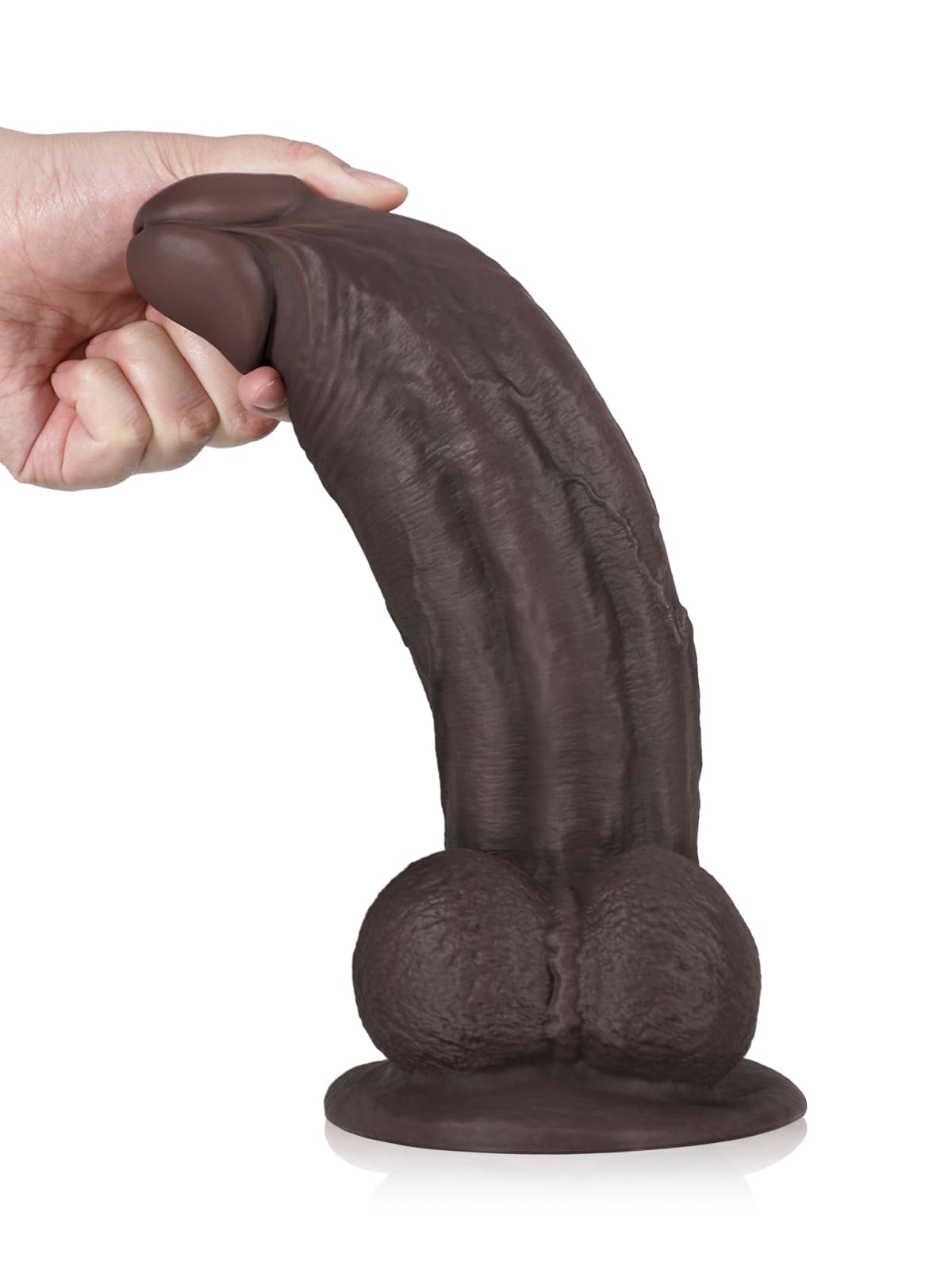 Deziel 12.59" x 2.83"