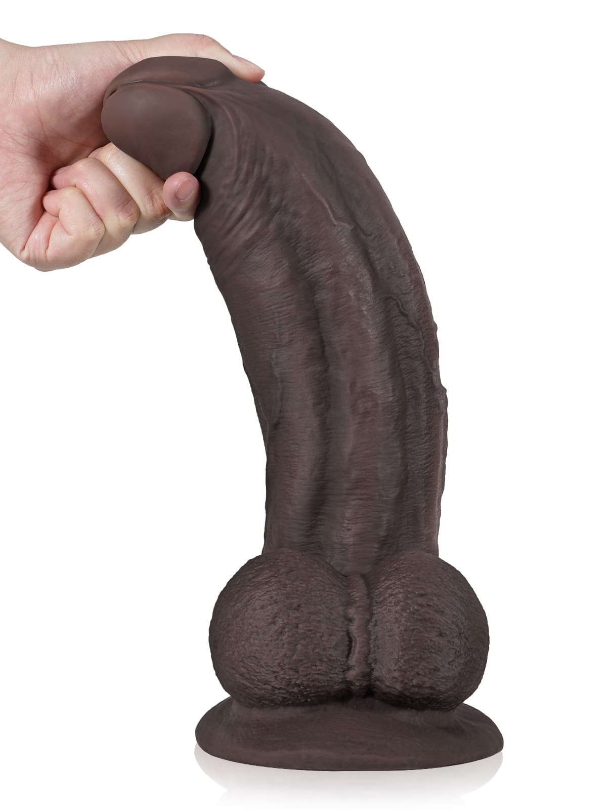 Deziel 12.59" x 2.83"