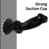 Baxter 12.7" x 3.8" Dog Knot Dildo with Suction Cup Base