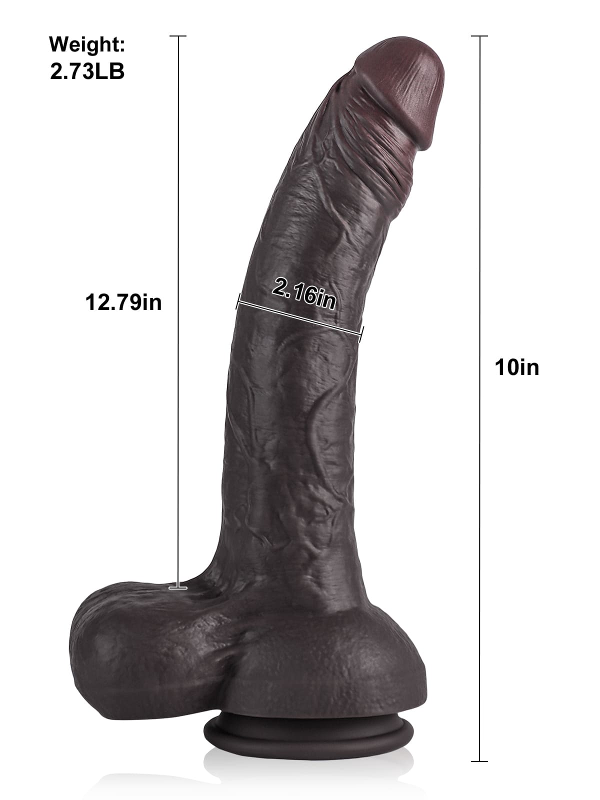 Dante 12.79" x 2.16"