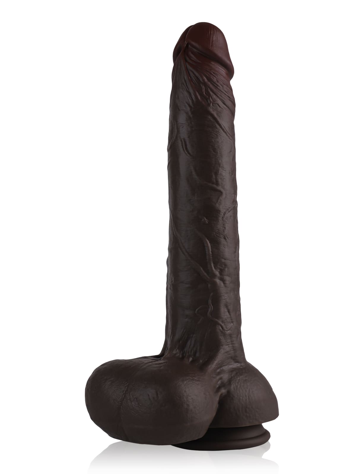 Dante 12.79" x 2.16"