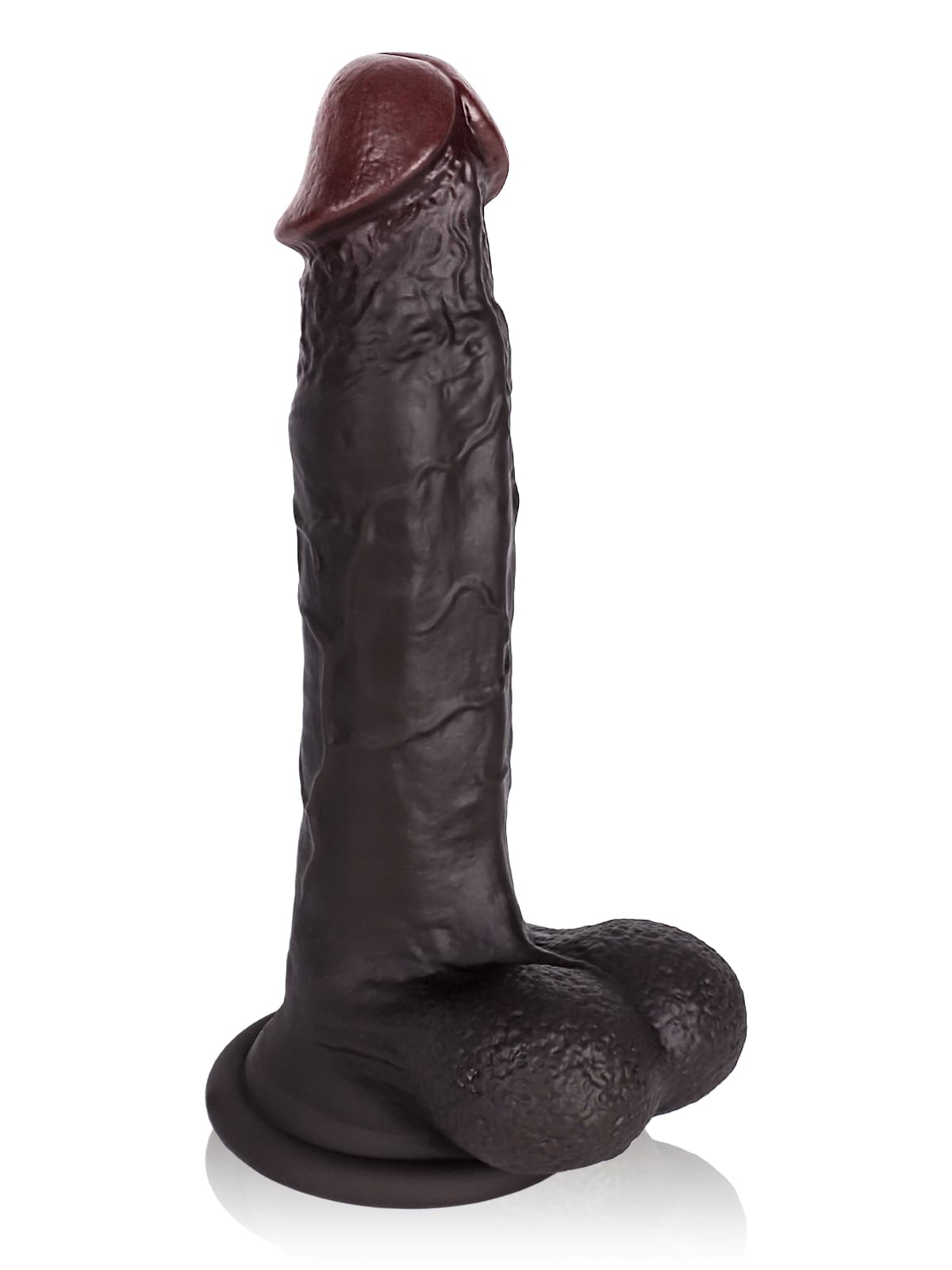 Daelen 11.6" x 2.36"