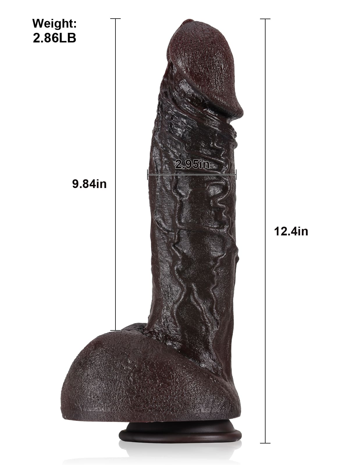 Darius 12.4" x 2.95"