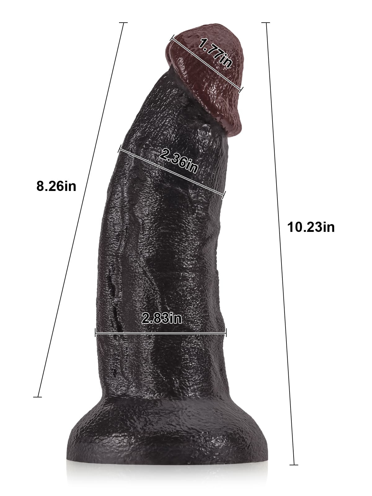Kaleb XL 10.23" x 2.83"