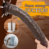 Karu 14" x 2" XXL Realistic BBC Dildo for Deep Stimulation