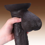 Logan 9.2" x 2" Black Realistic Dildo with Sculpted Glans & Swinging Balls
