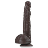 Paulyd 10.8" x 1.7" Long Straight Realistic BBC Dildo