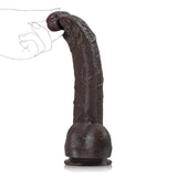 Paulyd 10.8" x 1.7" Long Straight Realistic BBC Dildo