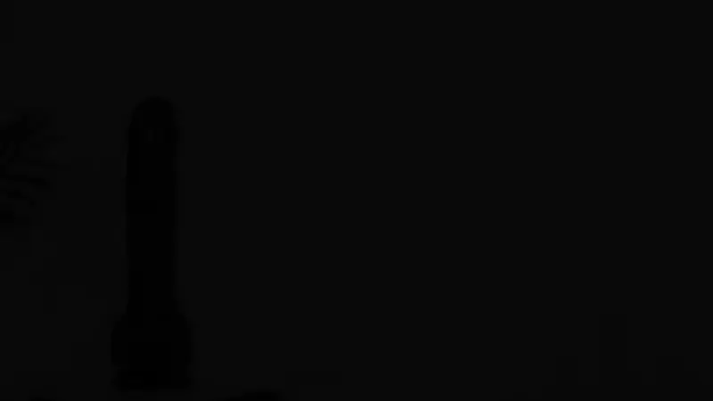 Cutler 8.3" x 1.78" Small Thrusting Vibrating Black Dildo, 3 Thrusting & 5 Vibration Modes